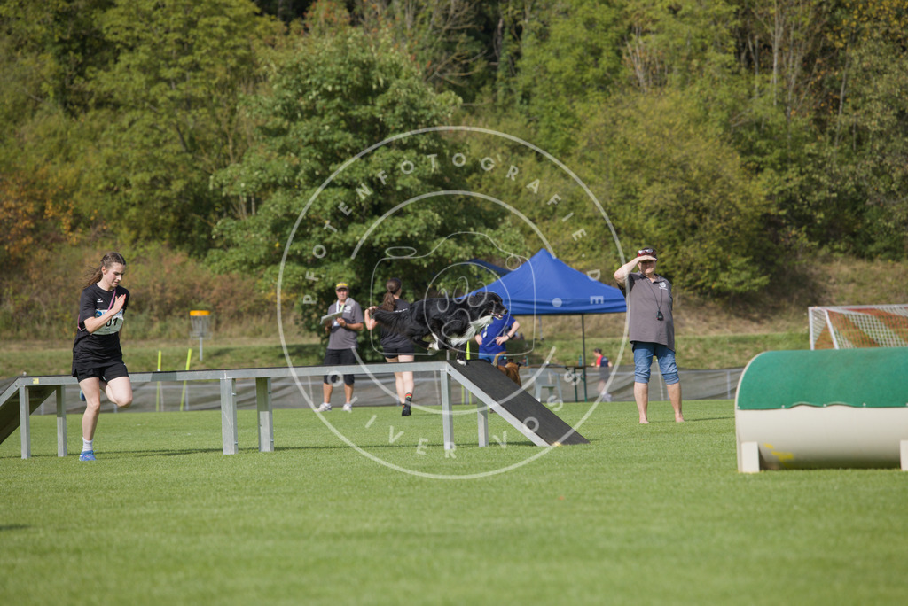 0L8A3510 | Hundefotografie, Tierfotograf, Pfotenfotografie, Fotoshooting Hund, Hunde Portrait, Hundesport, Hundeportraits, Heideshooting, Hunde, Sportfotograf, Hundefotograf, Turnierhundsport, THS,  - Realisiert mit Pictrs.com