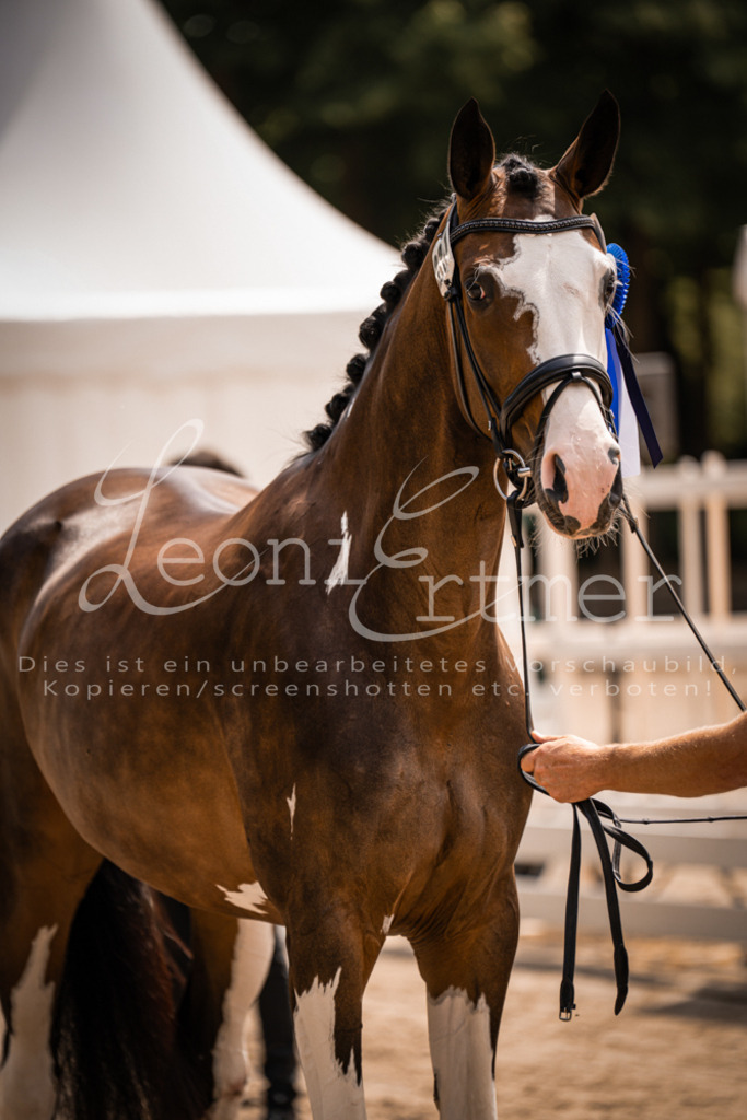 2. Fr00190 | Leoni Ertmer Photography - Realisiert mit Pictrs.com