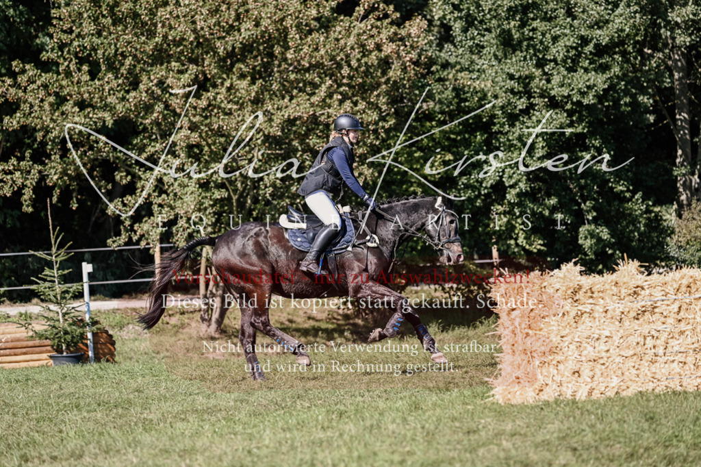 DSC_3243 | Pferde- und Turnierfotografie in Westsachsen. Pferdeportraits, Auftragszeichnungen und intuitive Kunst.