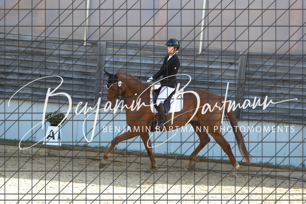 IMG_5110 | Benjamin Bartmann Photomoments