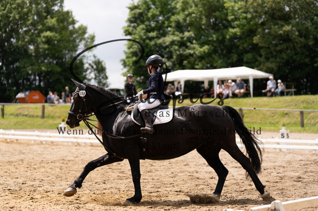A7505981 | Turnier/Reitfotograf