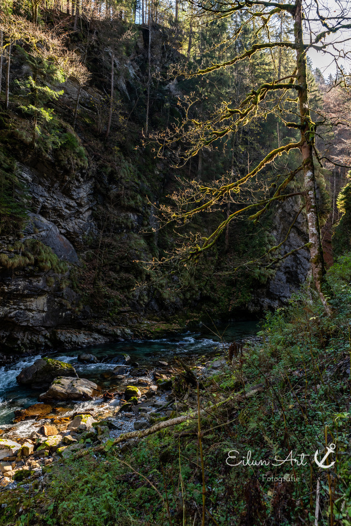 20241102-EAF_5472 | Eilun-Art-Fotografie Levke Martens, ihre Fotografin für Immobilien- und Landschaftsfotografie auf Föhr, Föhrer Motive als Poster, Leinwand, hinter Acrylglas oder stelle dir deinen eigenen Monatskalender zusammen, mit nur einem Klick