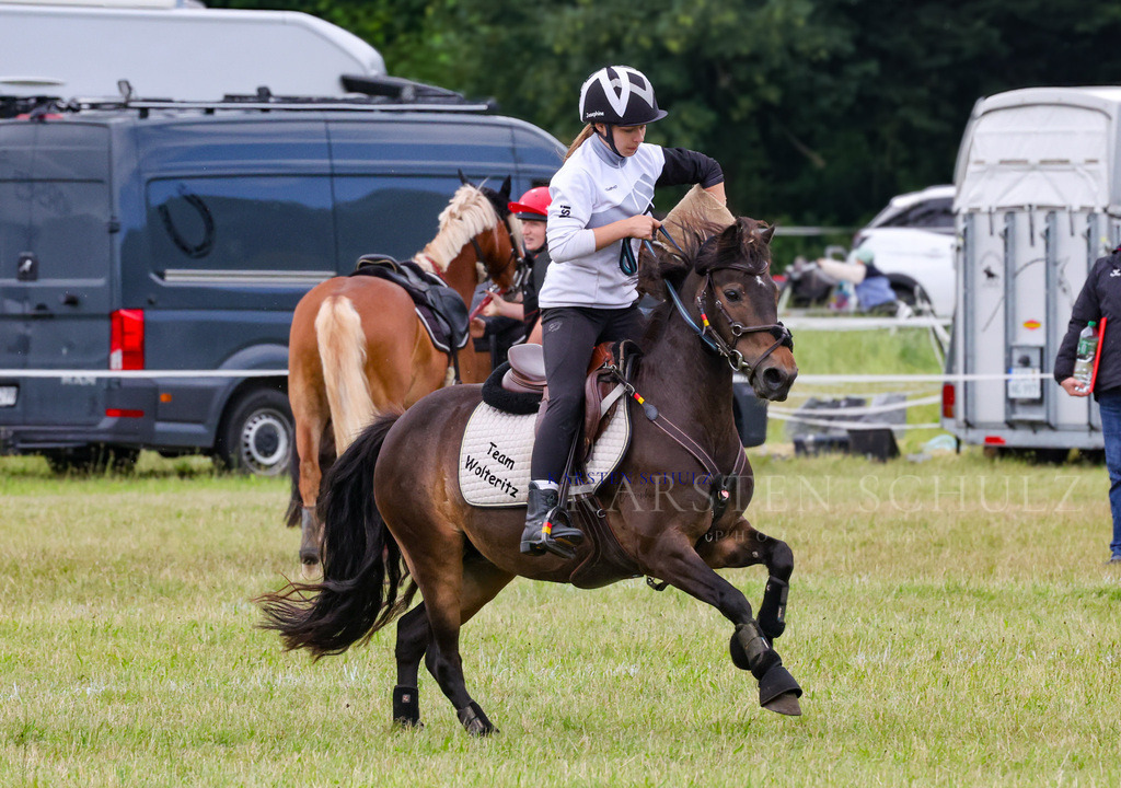 1B3A2847 | Reitsport Reiten
