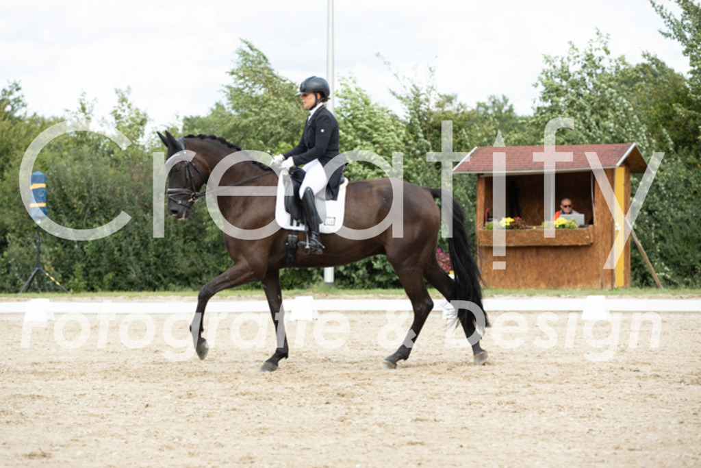 IMG_6849 | Creatify Fotografie