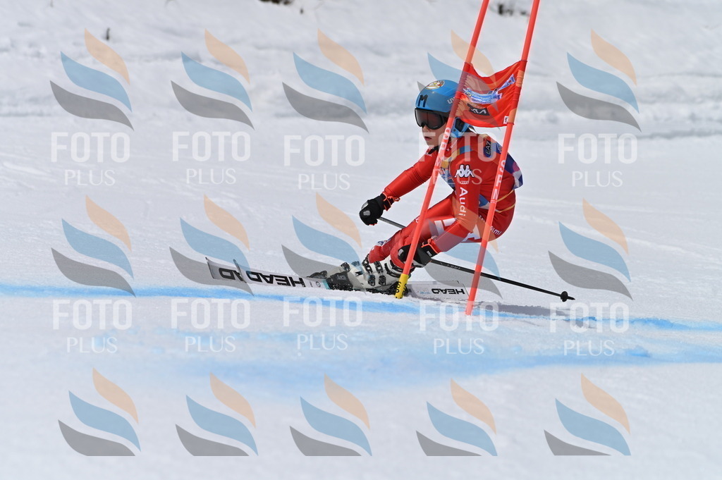 BGV_5837 | holidayphoto