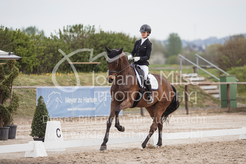 250416_Dressurpferde-L-204 | Deine schönsten Turniermomente als professionelle Fotos! Entdecke hochwertige Pferdesport-Fotografie im Online-Shop. Jetzt Fotos finden & bestellen!