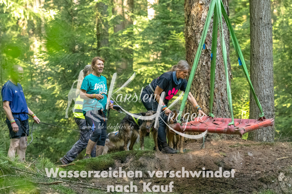 1357_ZZ93961-Bearbeitet | kk-dogfotos