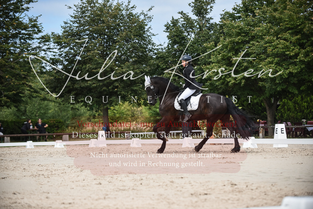 DSC_8653 | Pferde- und Turnierfotografie in Westsachsen. Pferdeportraits, Auftragszeichnungen und intuitive Kunst.