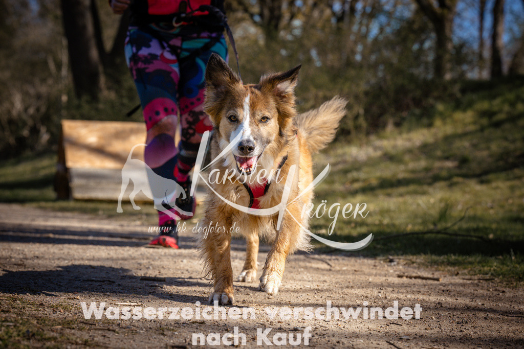 0957_ZZ96907 | kk-dogfotos