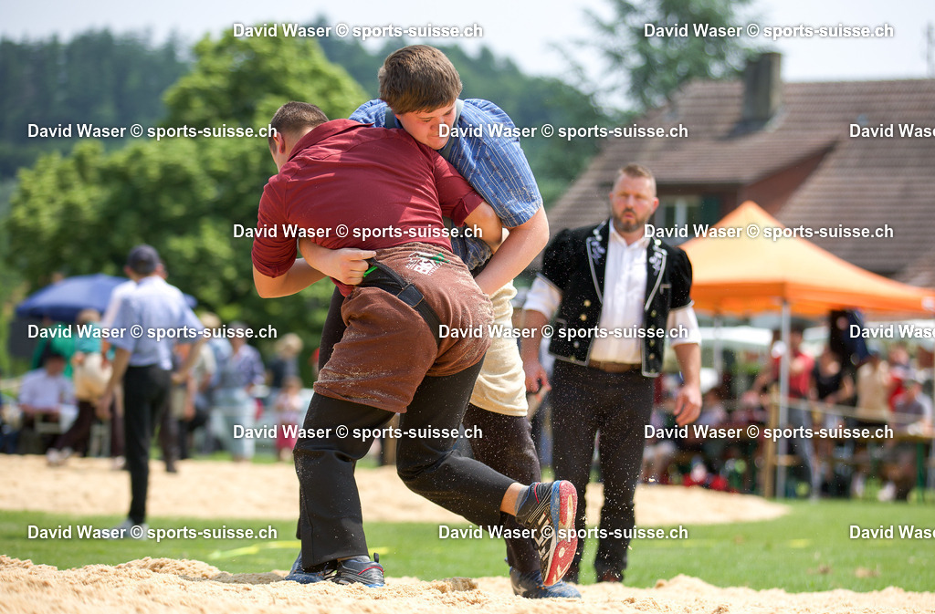 König Manuel (2008) - Piller Jonas (2009) _ la 17. Schwingertag Laupen Laupen_ 09.06.2025 (1) | König Manuel (2008) - Piller Jonas (2009) à la 17. Schwingertag Laupen Laupen, 09.06.2025