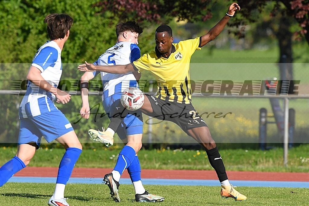 aaaaDSC_5253 | Kaufen Sie Sportbilder im Onlineshop von Andy Scherrer Sportfotografie. Faszinierende Bilder von Sportevents aus der ganzen Schweiz. Fussball, Frauenfussball, Unihockey, Handball, Schwingen und weiteren Sportarten. - Realisiert mit Pictrs.com