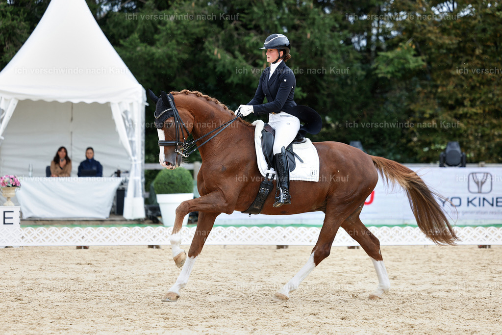 11-201-Dressur S___-StoibPH-950 | working equitationturnier fotograf videograf stoibphotography marixx film working equitation deutschland reitsport turnierfotografie eventfotografie equestrian events