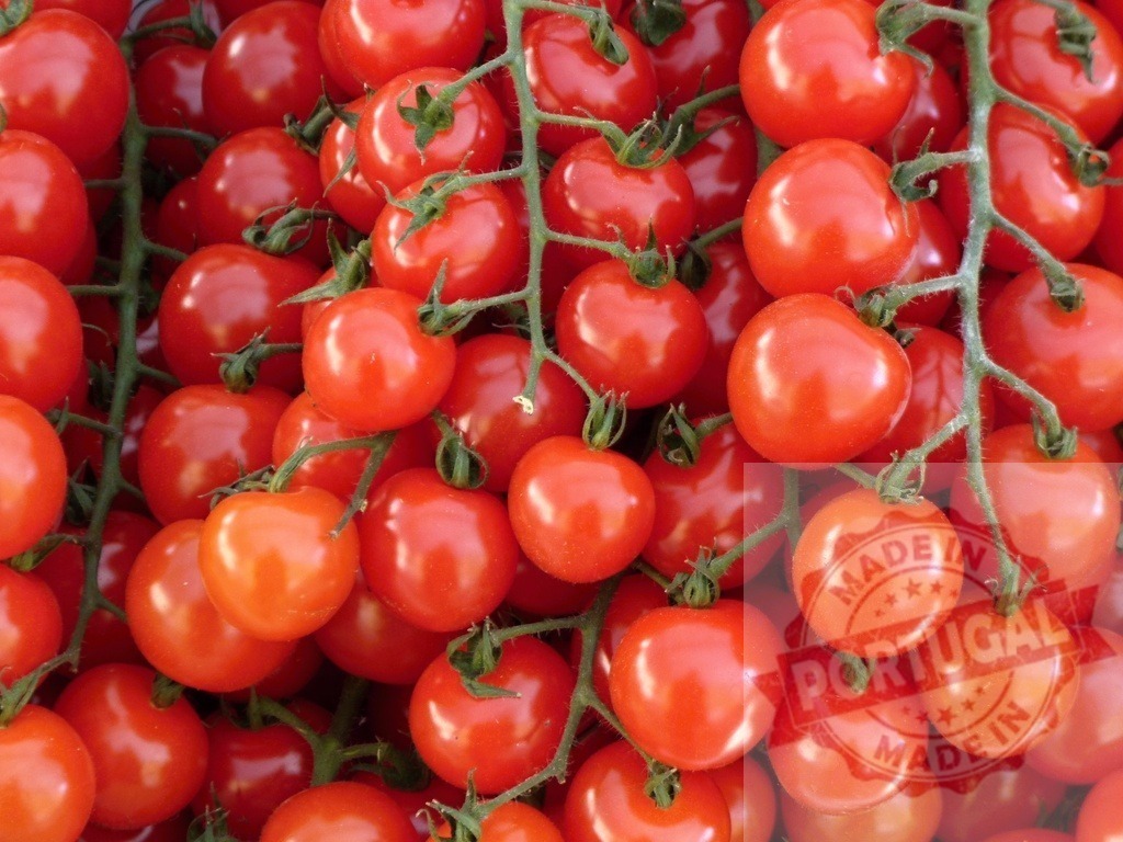 Ripe cherry tomatoes on vine for healthy eating | Fresh red cherry tomatoes on vine, organic vegetable harvest - Realized with Pictrs.com