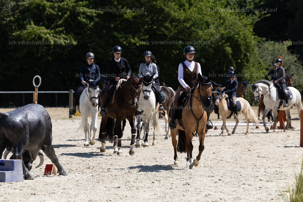 EJ3A4021 | working equitationturnier fotograf videograf stoibphotography marixx film working equitation deutschland reitsport turnierfotografie eventfotografie equestrian events