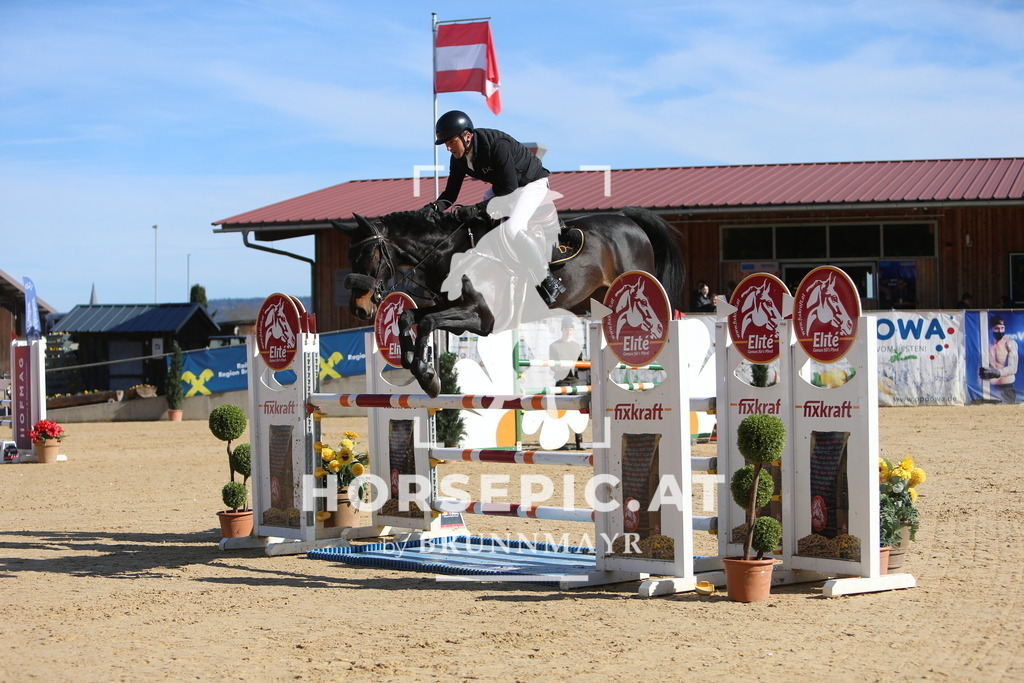 DL2Q4022 | Willkommen bei Brunnmayr - Design & Fotografie – Ihrem Spezialisten für Reitturniere und Pferdeveranstaltungen in Oberösterreich, Salzburg und Bayern! Seit über 17 Jahren sind wir leidenschaftlich dabei.