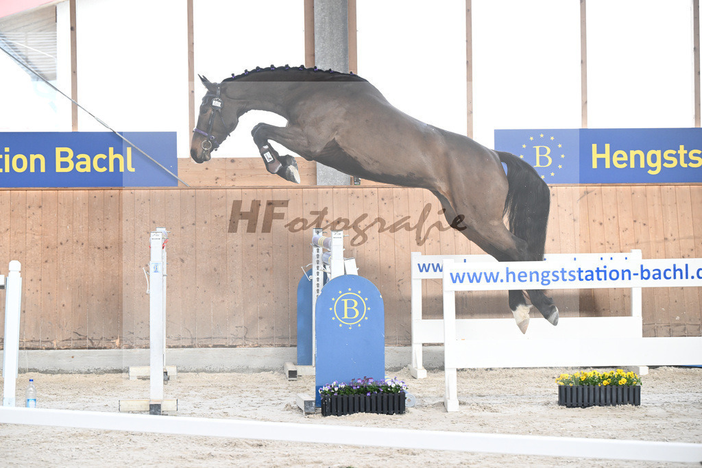 Kat-Nr. 40 Emma von Imhoff v. Cornet Obolensky_Imhoff_5250587 | hf-fotografie - Realisiert mit Pictrs.com
