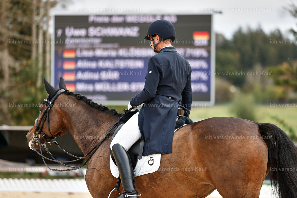 11-226-Dressur S___-StoibPH-1040 | working equitationturnier fotograf videograf stoibphotography marixx film working equitation deutschland reitsport turnierfotografie eventfotografie equestrian events