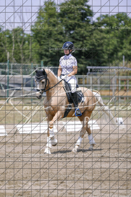 _W6A5292 | ronjaprokoschfotografie - Realisiert mit Pictrs.com