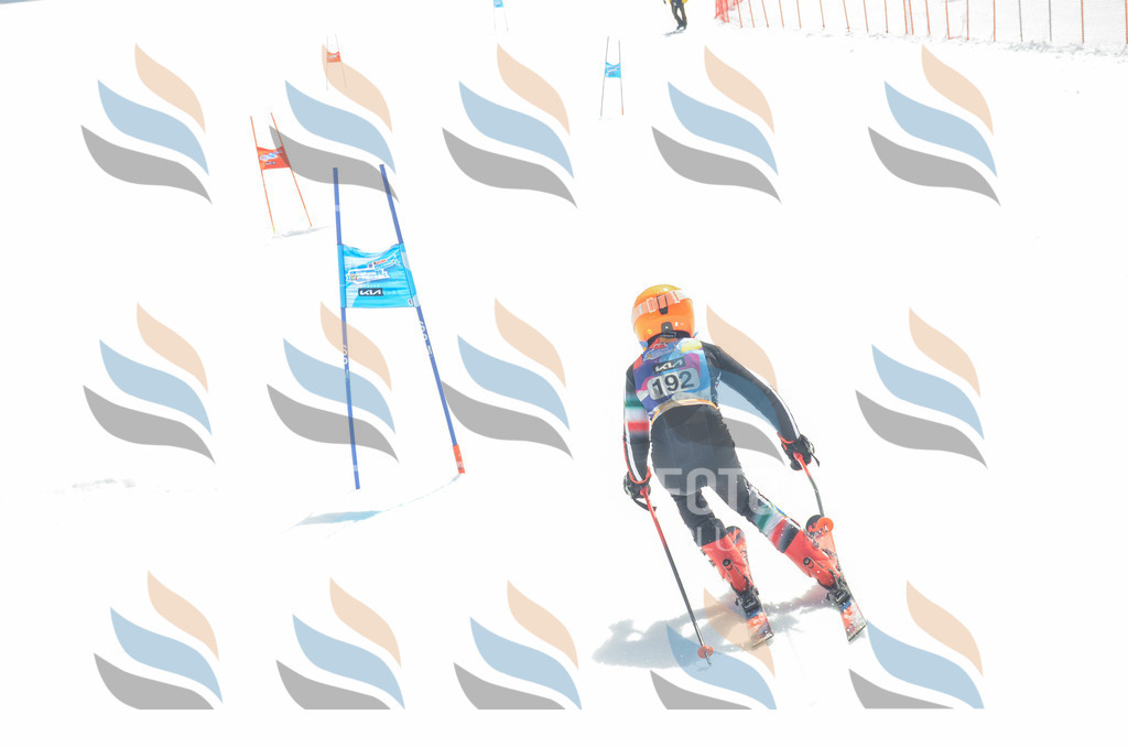 _ELE6812 | holidayphoto