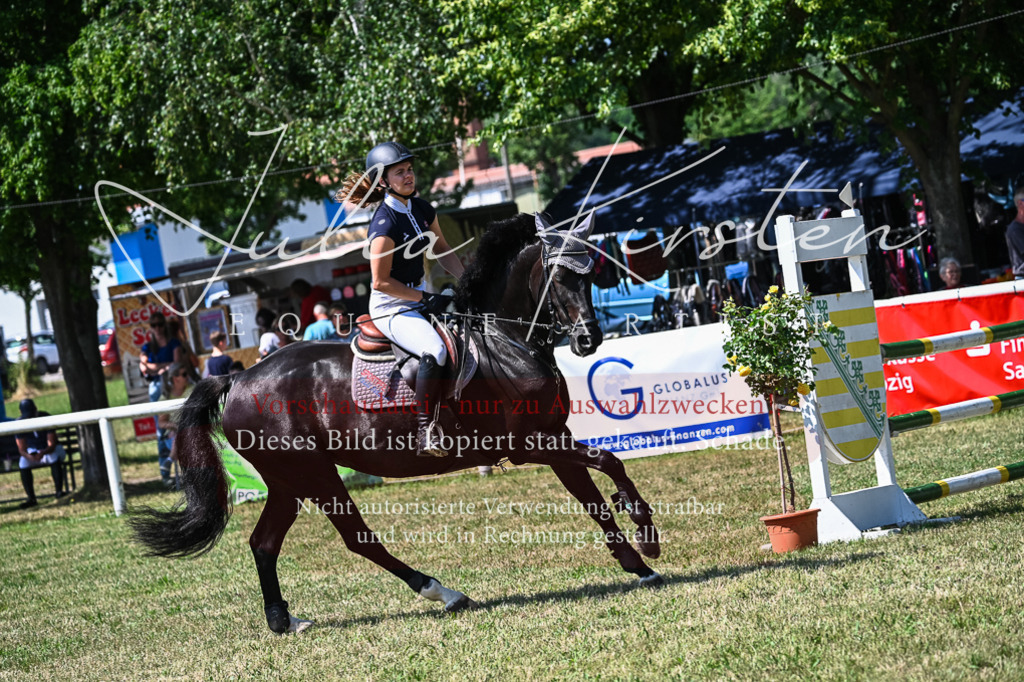 DSC_1037 | Pferde- und Turnierfotografie in Westsachsen. Pferdeportraits, Auftragszeichnungen und intuitive Kunst.