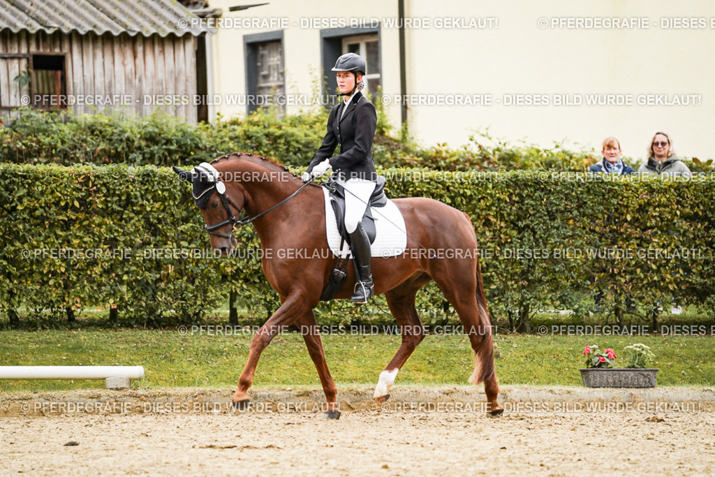 DSC08665 | Pferdegrafie