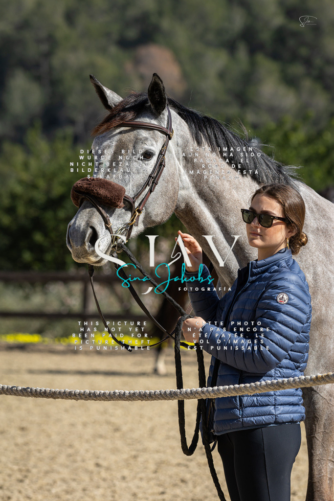 IMG_6503 | s-jay-photography - Realisiert mit Pictrs.com