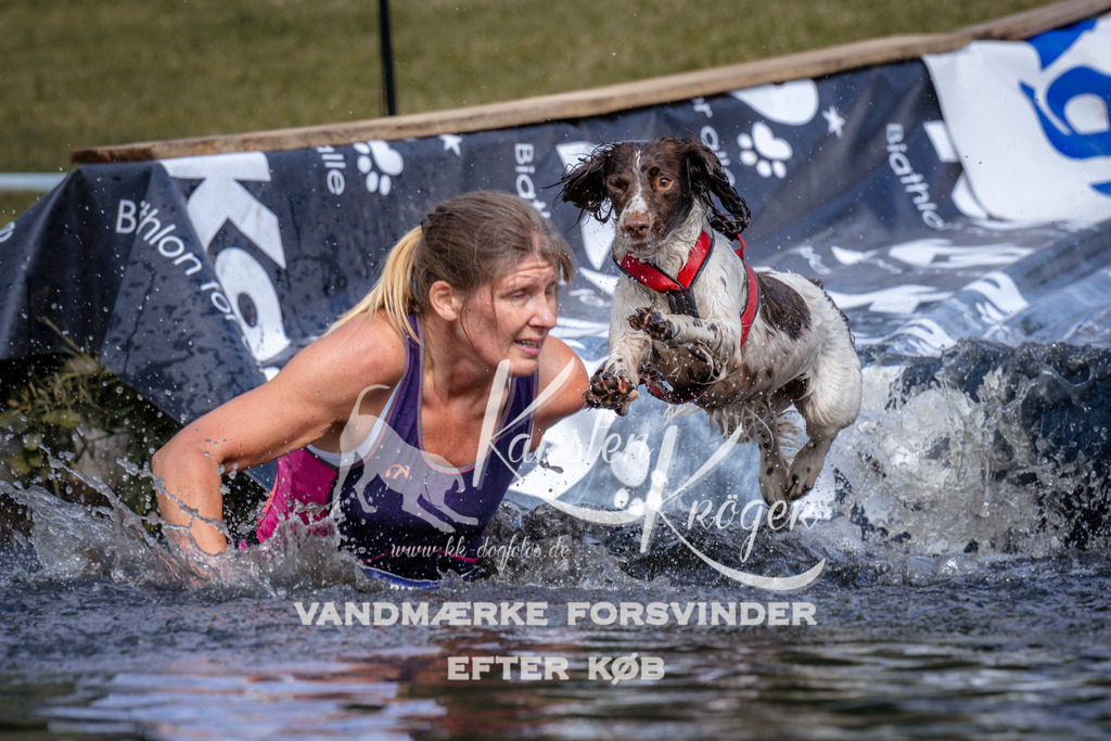 _ZZ908030908 | kk-dogfotos