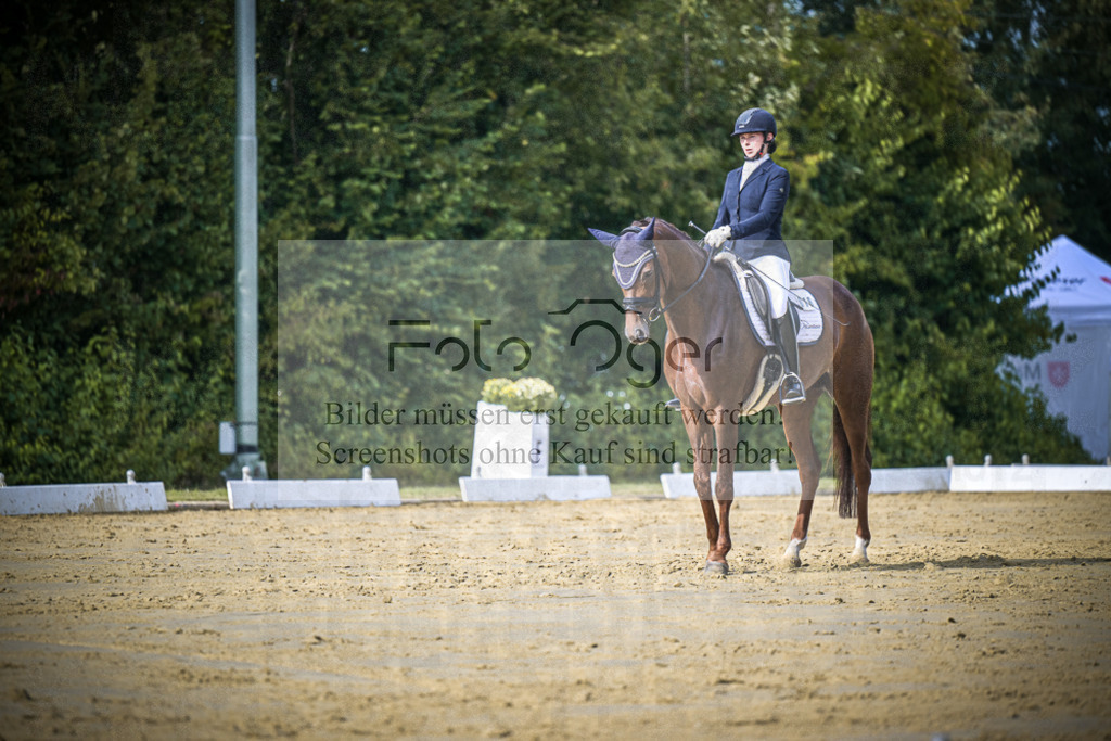 DOS_8014 | Entdecke hochwertige Reitturnierfotos von Foto Oger. Professionell, emotional und authentisch – jetzt Lieblingsmomente im Shop bestellen.Deutschlandweite Turnierfotografie. - Realisiert mit Pictrs.com