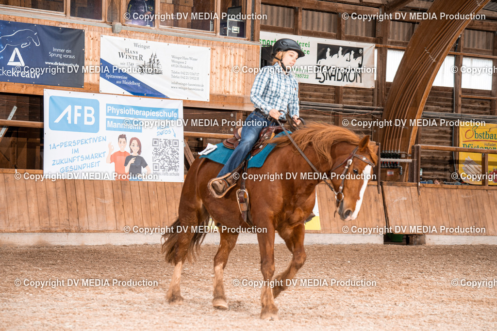 Heidelberg Tag 2-464 | dv-media-shop - Realisiert mit Pictrs.com