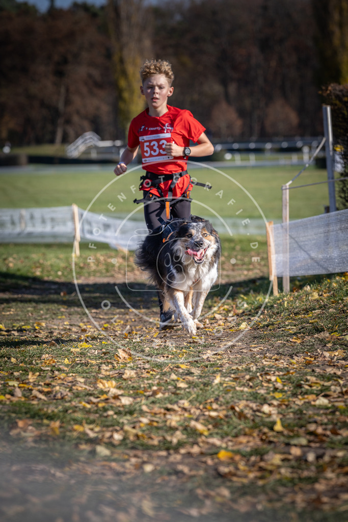 CaniXpix_DV3A8275 | Hundefotografie, Tierfotograf, Pfotenfotografie, Fotoshooting Hund, Hunde Portrait, Hundesport, Hundeportraits, Heideshooting, Hunde, Sportfotograf, Hundefotograf, Turnierhundsport, THS,  - Realisiert mit Pictrs.com