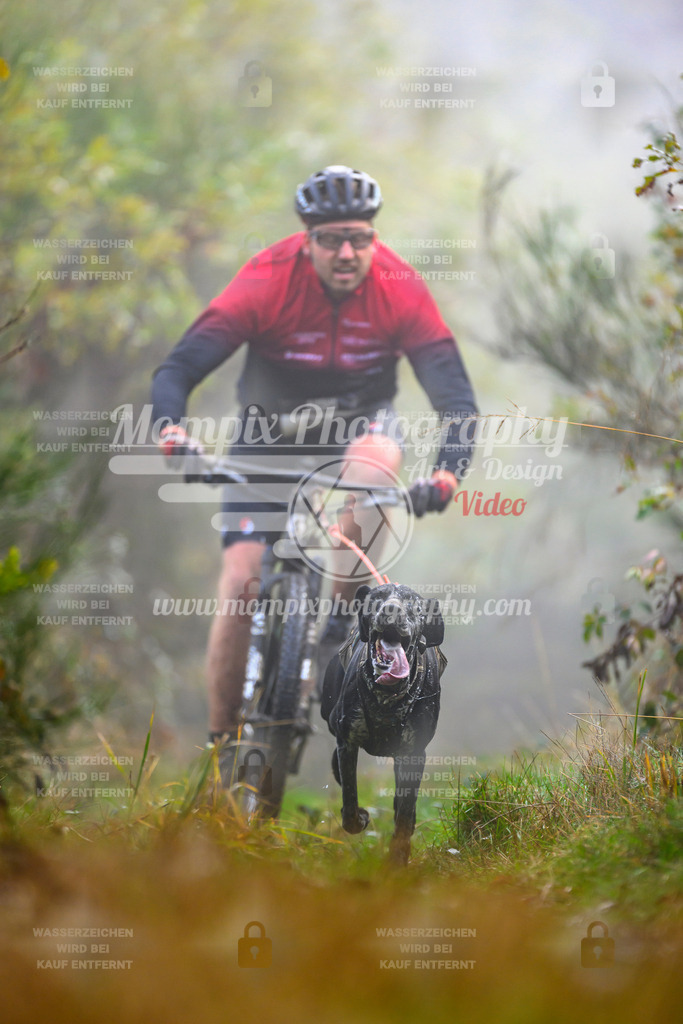 MompixPhotography_20TSB_E4_Bike-35 | PayLife