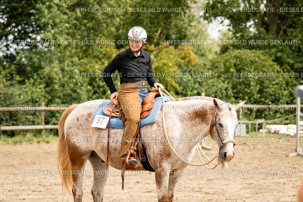 DSC01055 | Pferdegrafie