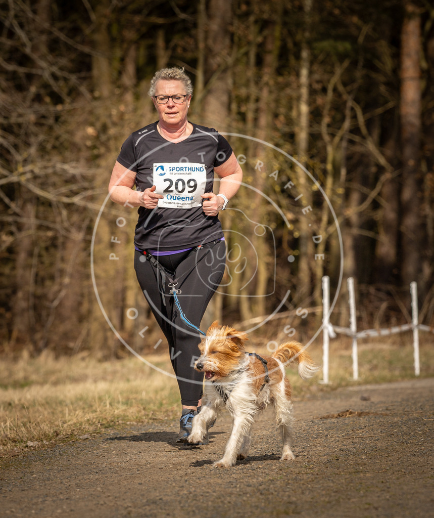 DV3A5540 | Hundefotografie, Tierfotograf, Pfotenfotografie, Fotoshooting Hund, Hunde Portrait, Hundesport, Hundeportraits, Heideshooting, Hunde, Sportfotograf, Hundefotograf, Turnierhundsport, THS,  - Realisiert mit Pictrs.com