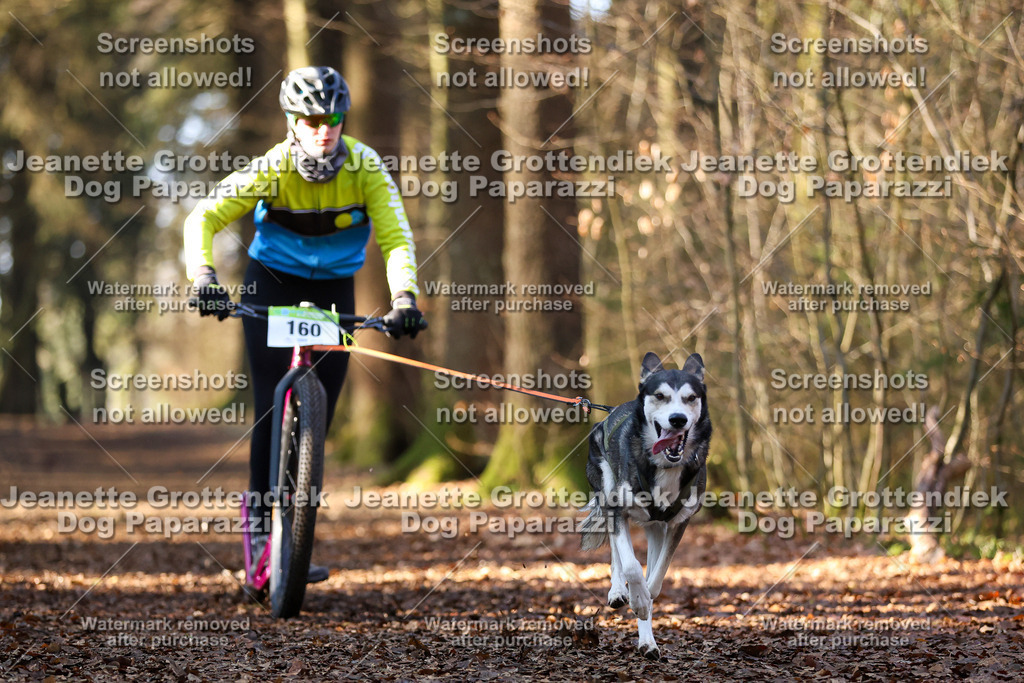 Dog Paparazzi - VCC26-897 | Dog Paparazzi Jeanette Grottendiek Fotografie & Videografie - Realisiert mit Pictrs.com