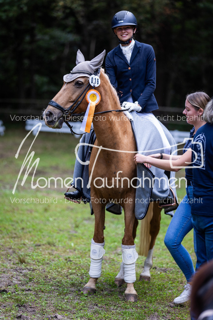 HB-A-Dressur-169 | MomenTaufnahmen Pferdesportfotos