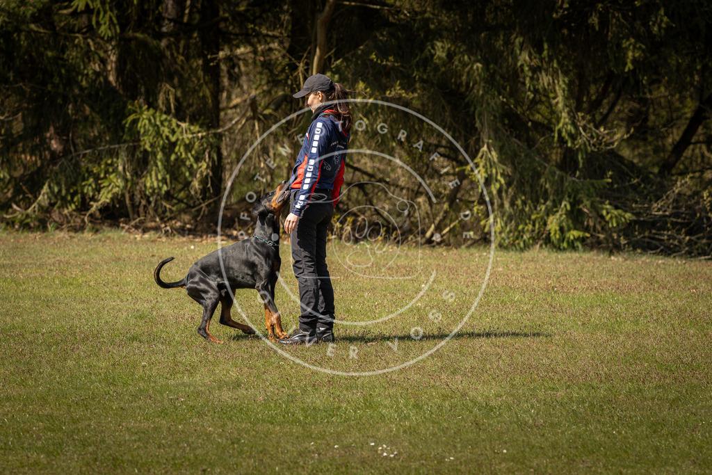 Pfotenfotografie_DV3A0796 | Hundefotografie, Tierfotograf, Pfotenfotografie, Fotoshooting Hund, Hunde Portrait, Hundesport, Hundeportraits, Heideshooting, Hunde, Sportfotograf, Hundefotograf, Turnierhundsport, THS,  - Realisiert mit Pictrs.com