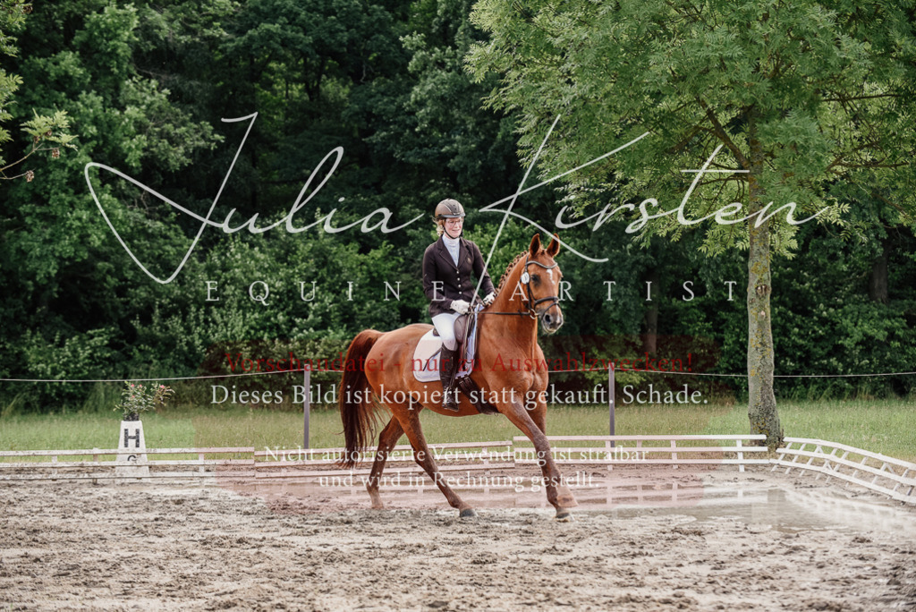DSC_9718 | Pferde- und Turnierfotografie in Westsachsen. Pferdeportraits, Auftragszeichnungen und intuitive Kunst.