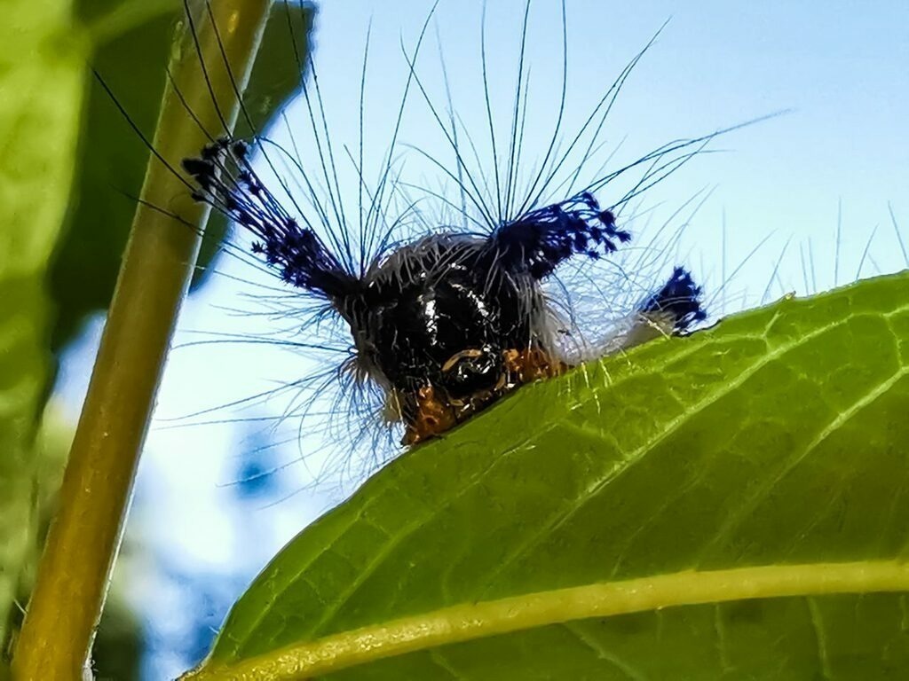 PSX_20220825_224037 | mtkfoto_ - Realisiert mit Pictrs.com