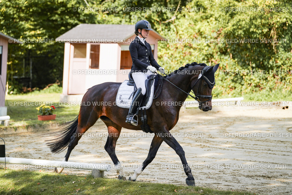 DSC07921 | Pferdegrafie