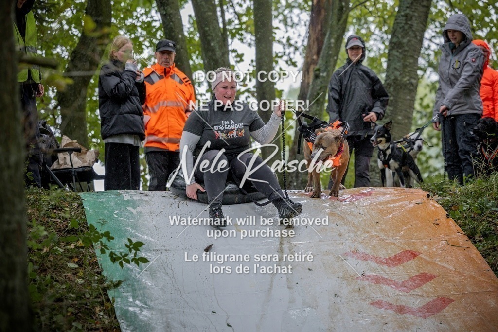 nelerasche_Hunsrück_Sa1030-1100_171-final | nelerasche