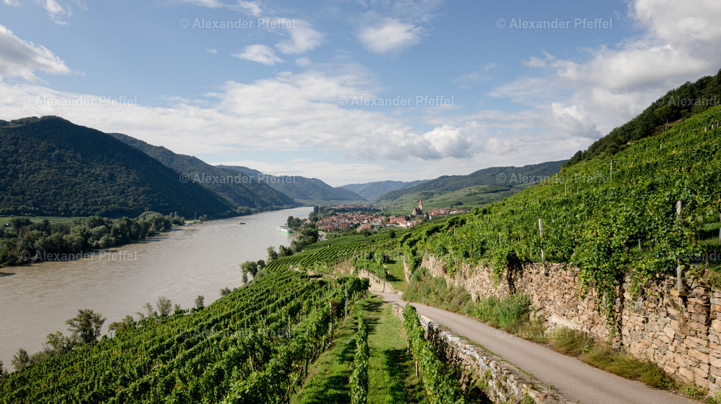 wachau_c_alexander_pfeffel-6746 | alexander-pfeffel - Realisiert mit Pictrs.com