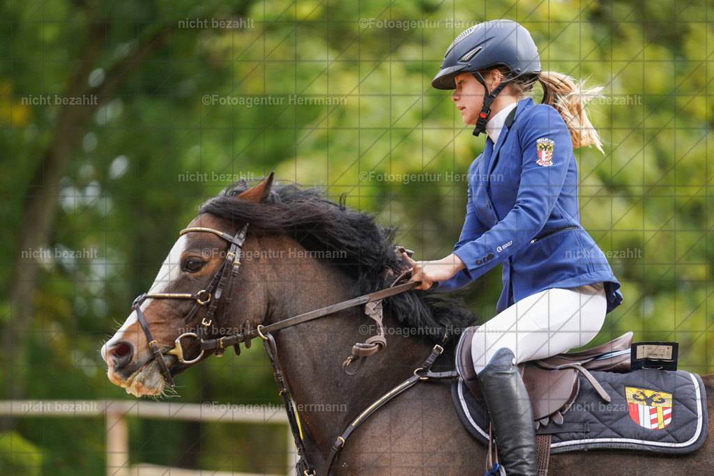 20221009-FAH08629 | Diessen am Ammersee, 2022, Dressur- und Springturnier, Reitsportbilder, Turnierfotografen Bayern, Pferdefotografen, Fotoagentur Herrmann, Turnierbilder