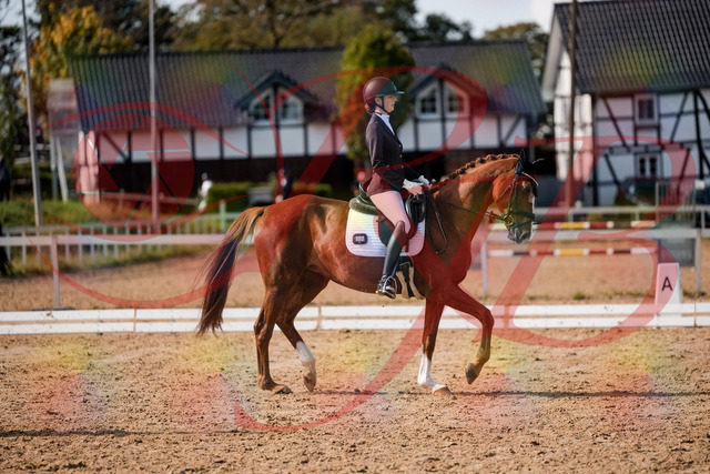 2026_10_03_Siefer-Hof_132757_Z63_87461002 | Professionelle Reitsport-, Turnier- und Eventfotografie von Robert Broda. Galerien mit ausgewählten und bearbeiteten Bildern direkt online ansehen und bestellen.