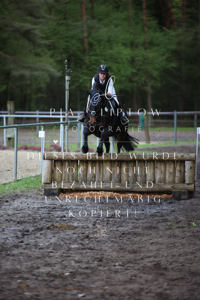 IMGT1965 | pl-fotografie