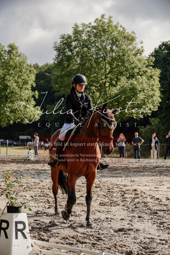 DSC_8474 | Pferde- und Turnierfotografie in Westsachsen. Pferdeportraits, Auftragszeichnungen und intuitive Kunst.
