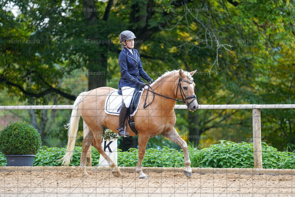 20221008-FAH00954 | Diessen am Ammersee, 2022, Dressur- und Springturnier, Reitsportbilder, Turnierfotografen Bayern, Pferdefotografen, Fotoagentur Herrmann, Turnierbilder
