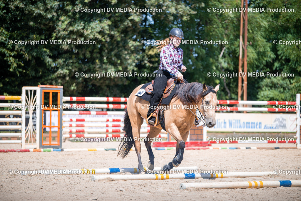 ZS1_1281 | dv-media-shop - Realisiert mit Pictrs.com