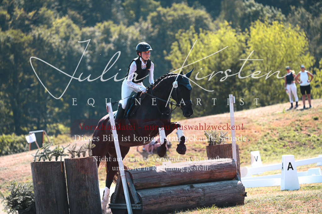 DSC_8341 | Pferde- und Turnierfotografie in Westsachsen. Pferdeportraits, Auftragszeichnungen und intuitive Kunst.