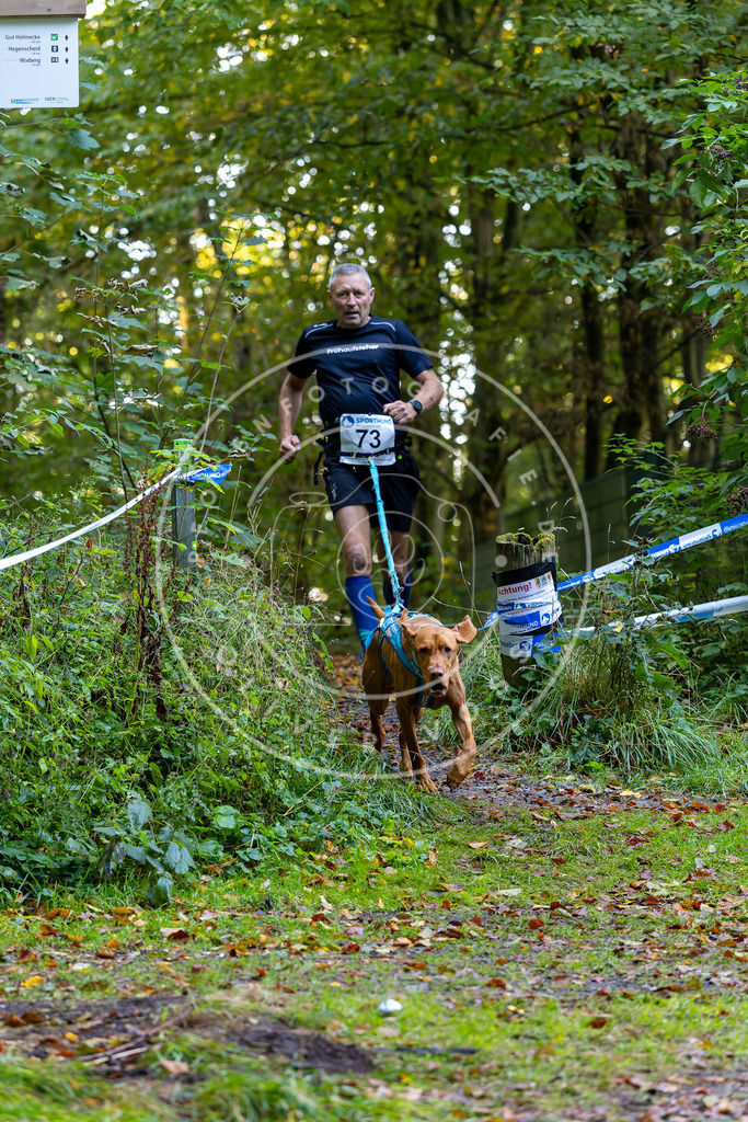 Pfotenfotografie_DV3A7387 | Hundefotografie, Tierfotograf, Pfotenfotografie, Fotoshooting Hund, Hunde Portrait, Hundesport, Hundeportraits, Heideshooting, Hunde, Sportfotograf, Hundefotograf, Turnierhundsport, THS,  - Realisiert mit Pictrs.com