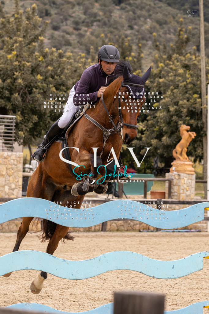 IMG_5306 | s-jay-photography - Realisiert mit Pictrs.com